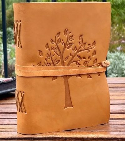 Untitled design - 2025-10-24T182202.472